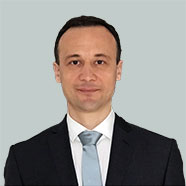 Nikola Protic